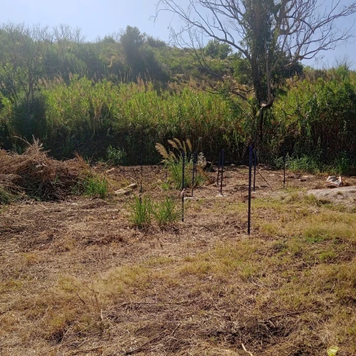 Vente Terrain Tizi Ouzou Tigzirt