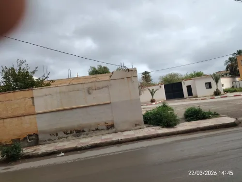 Vente Terrain M'Sila Msila
