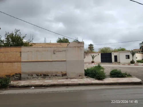 Vente Terrain M'Sila Msila