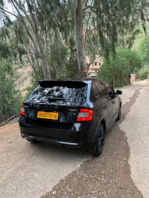 Skoda Fabia 2017 Monte Carlo