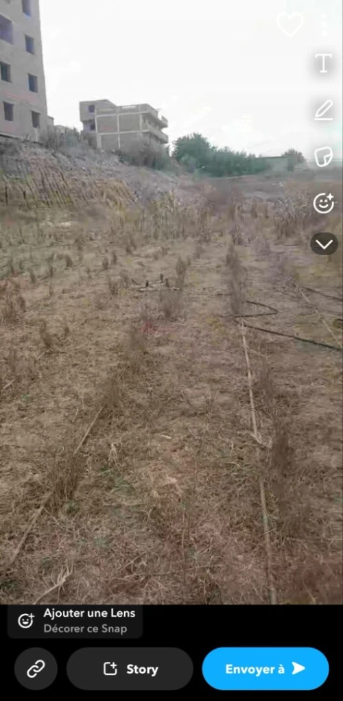 Vente Terrain Boumerdès Boudouaou el bahri