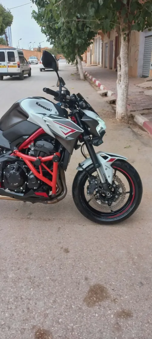 Kawasaki Z900 2022