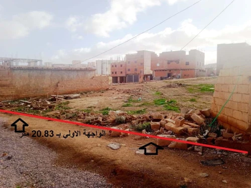 Vente Terrain Saïda Saida