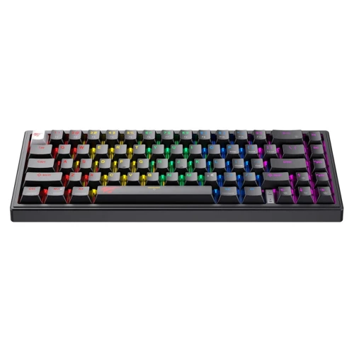 CLAVIER GAMER MECANIQUE HAVIT KB874L BLACK