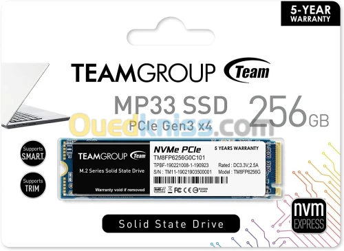 DISQUE SSD NVME TEAMGROUP MP33 256GB