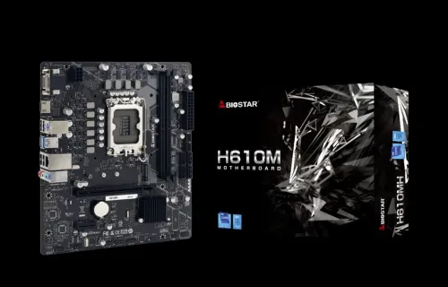 CARTE MERE BIOSTAR H610M