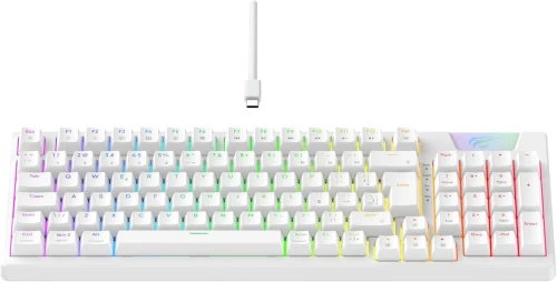 CLAVIER GAMER MECANIQUE HAVIT KB885L