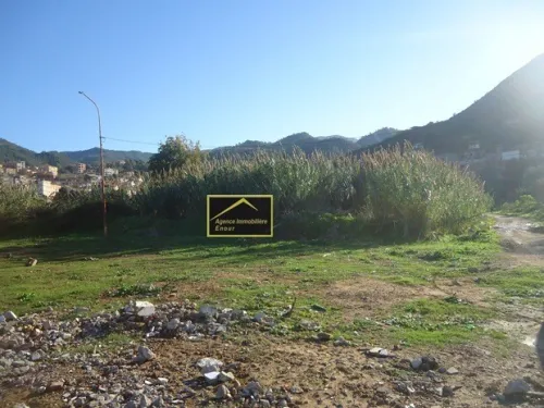 Vente Terrain Béjaïa Tala hamzadaira