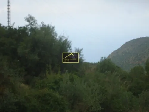 Vente Terrain Béjaïa Bejaia