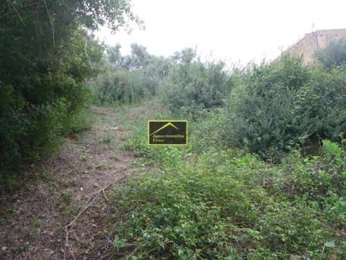 Vente Terrain Béjaïa Bejaia