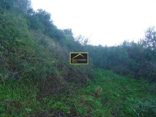 Vente Terrain Béjaïa Bejaia