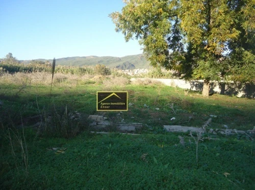 Vente Terrain Béjaïa Tala hamzadaira