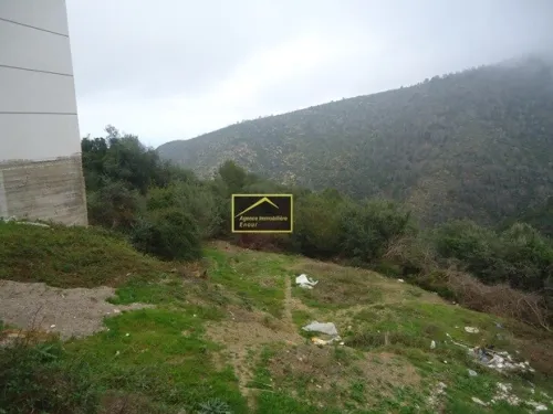 Vente Terrain Béjaïa Bejaia
