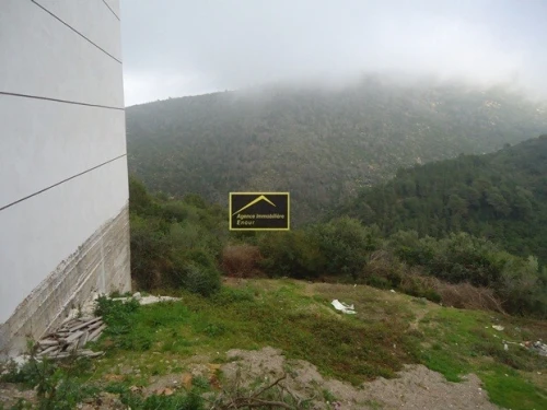 Vente Terrain Béjaïa Bejaia
