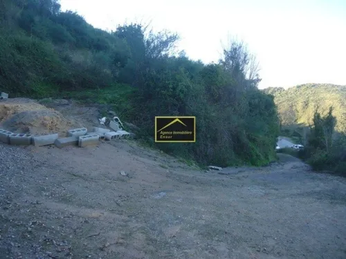 Vente Terrain Béjaïa Bejaia