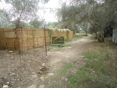 Vente Terrain Béjaïa Bejaia
