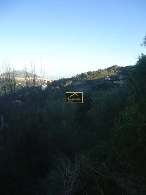Vente Terrain Béjaïa Bejaia