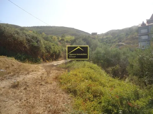 Vente Terrain Bejaia Bejaia
