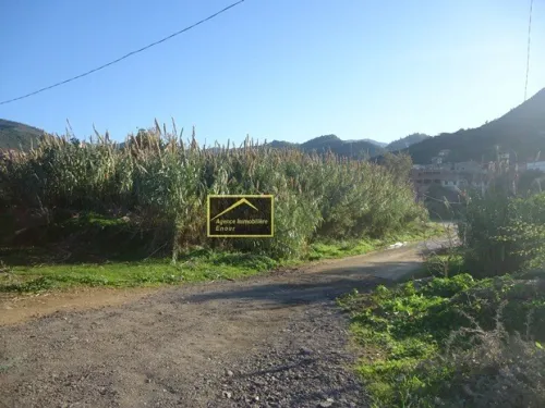Vente Terrain Béjaïa Tala hamzadaira