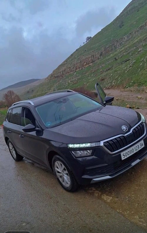 Skoda Kamiq 2023 