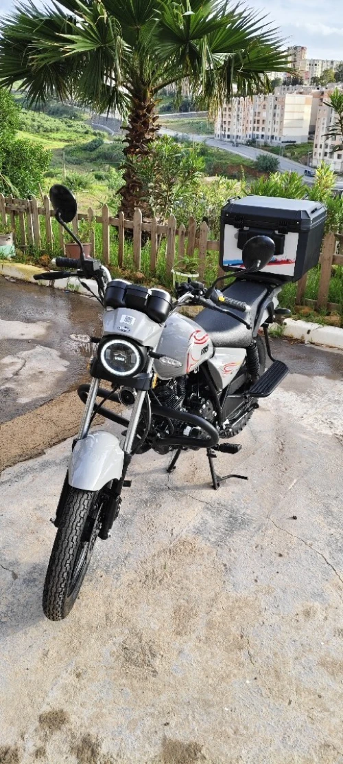VMS C light 2026
