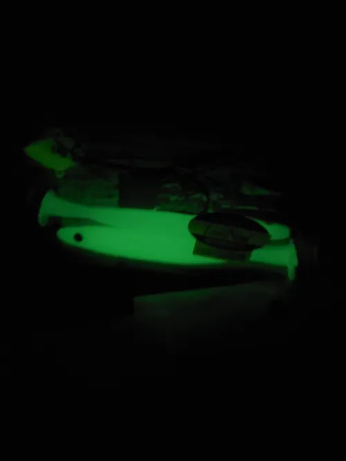 DAIWA SENSOR BRIGHT + DAIWA SAMURAI