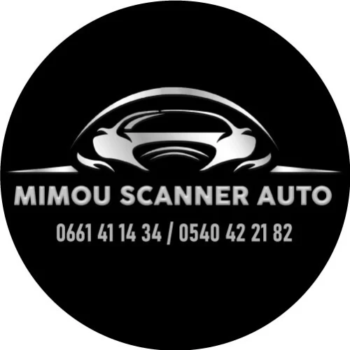 Scanner auto et Activation des options cachés à domicile 