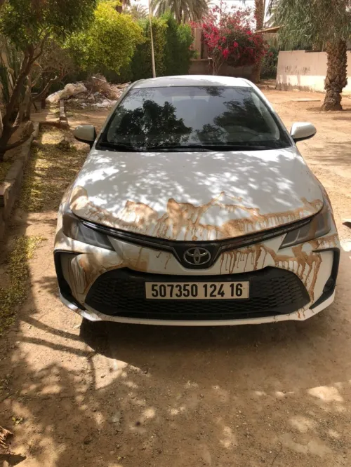Toyota Corolla 2024 