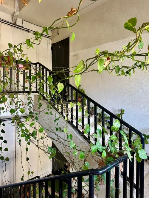 Vente Appartement F3 Boumerdès Boumerdes
