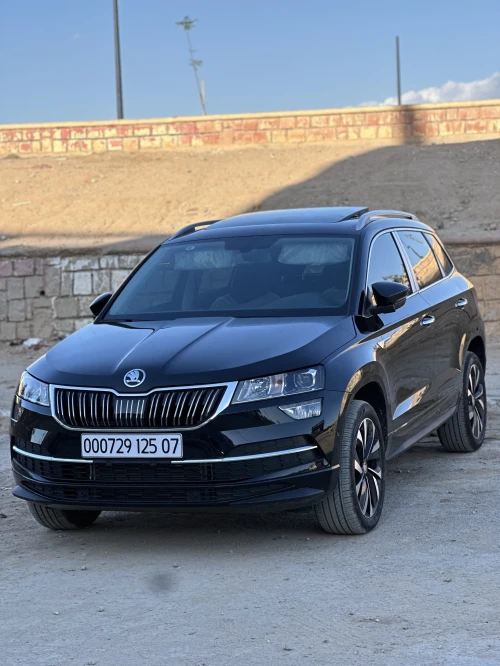 Skoda Karoq 2025 