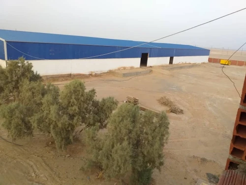 Location Hangar - Usine Adrar Adrar