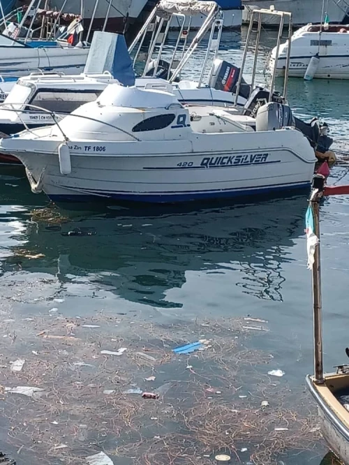 Bateaux Quick silver