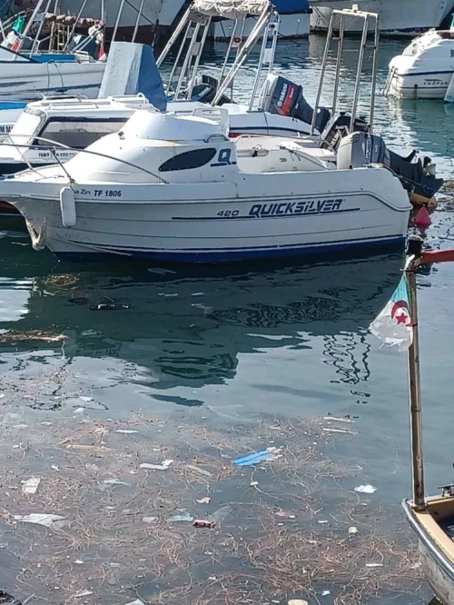 Bateaux Quick silver