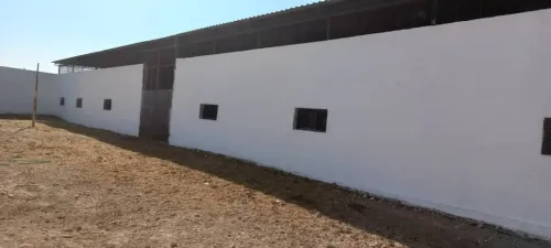 Vente Hangar - Usine Tlemcen Hennaya