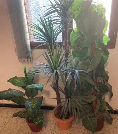 Plantes artificielles