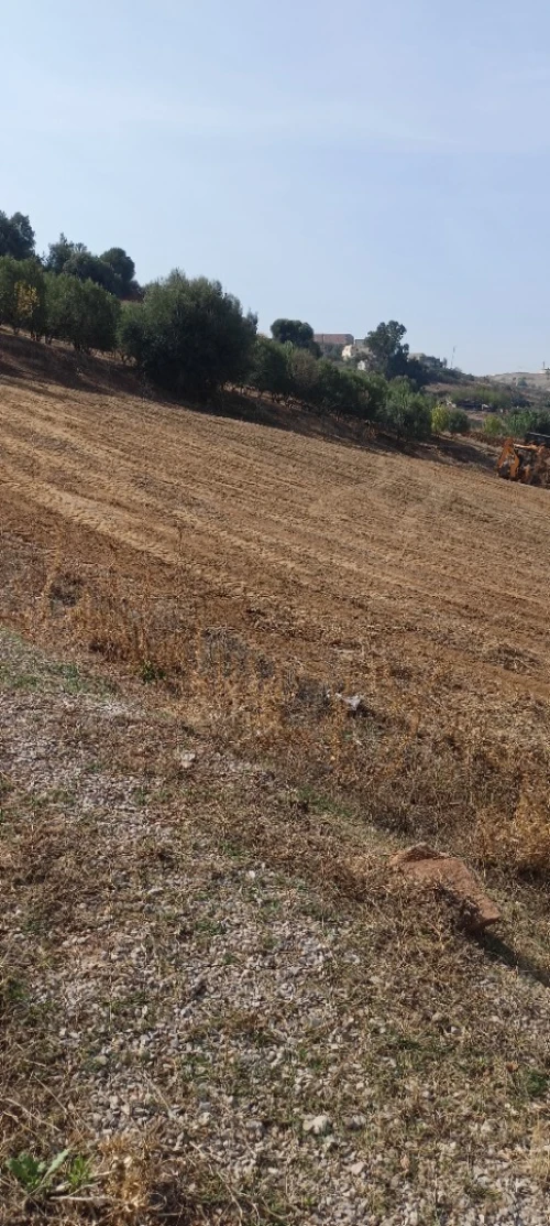Vente Terrain Boumerdès Larbatache