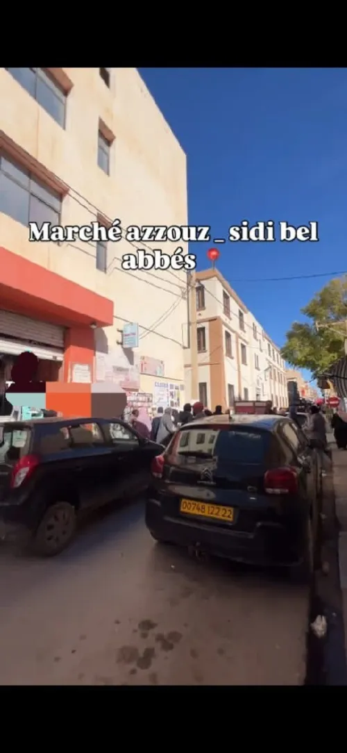 Vente Local Sidi Bel Abbès Sidi bel abbes