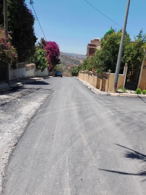 Vente Terrain Tlemcen Souahlia