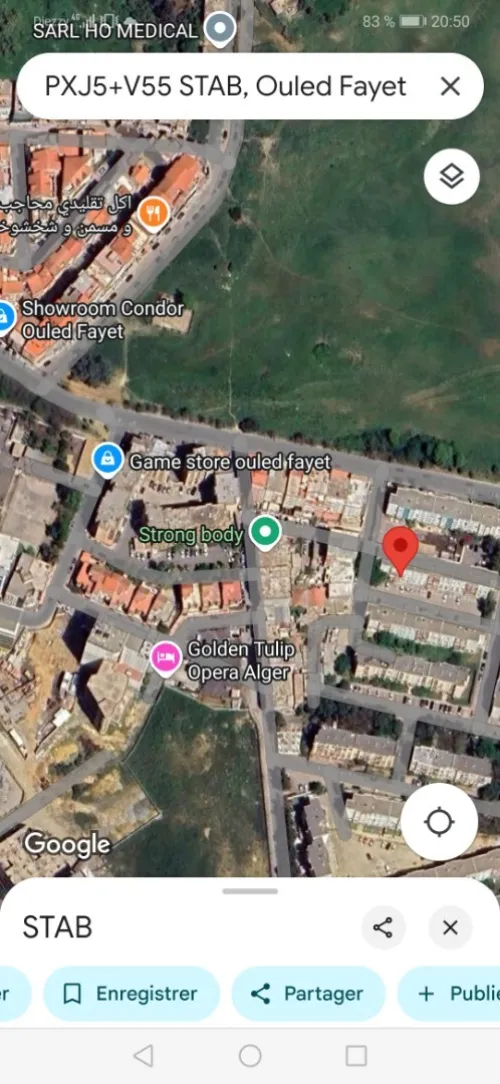 Vente Terrain Blida Blida