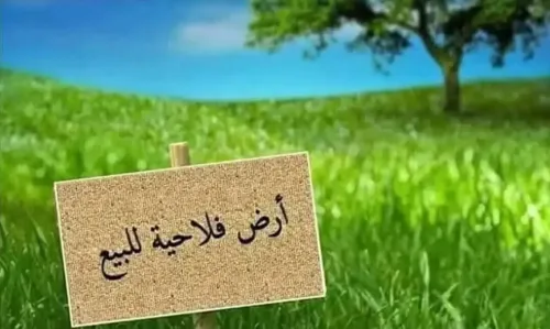 Vente Terrain Agricole El Bayadh Stitten