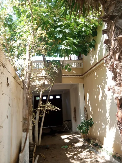 Vente Villa Alger Zeralda