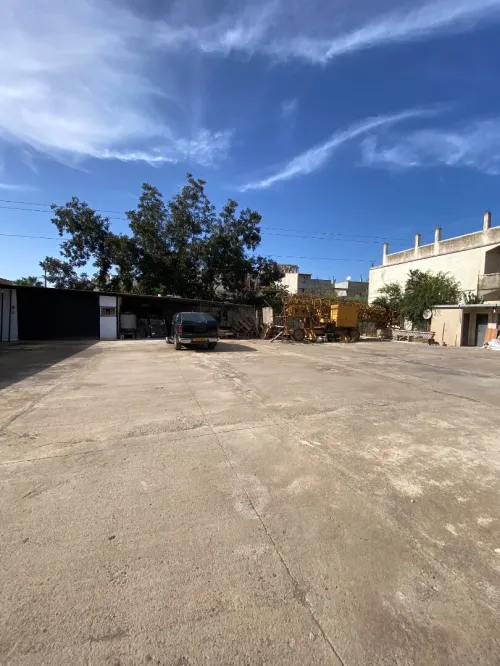 Location Local Alger Tessala el merdja