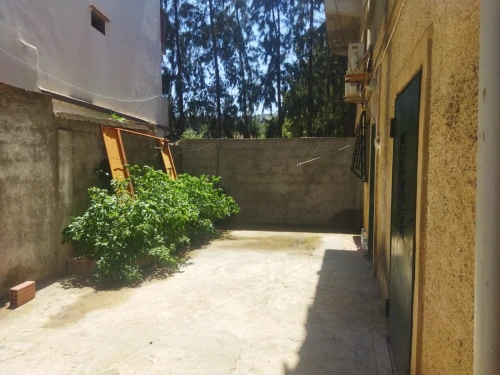Location vacances Appartement Studio F2 F3 Skikda Collo