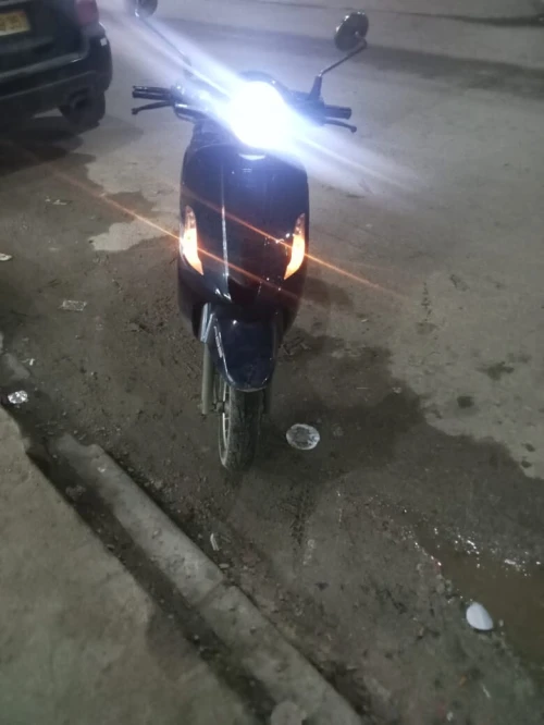 roma roma 2019