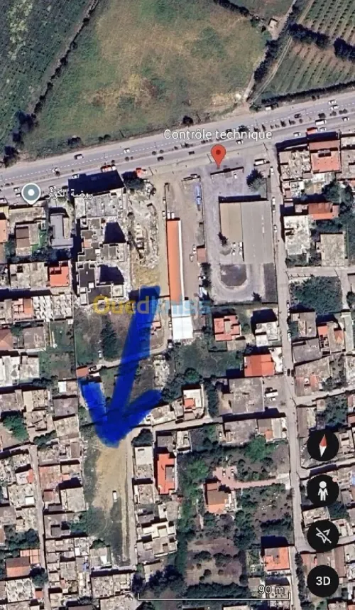 Vente Terrain Alger Reghaia