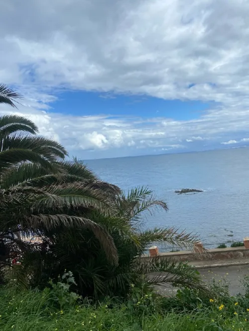 Vente Appartement F3 Alger El marsa