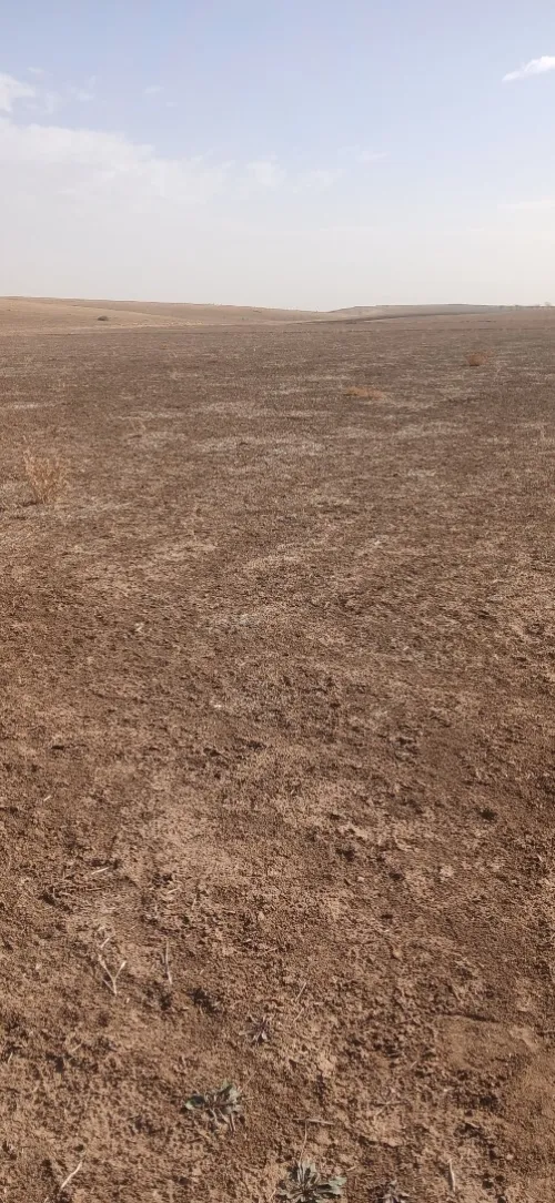 Vente Terrain Agricole Sidi Bel Abbès Sidi lahcene