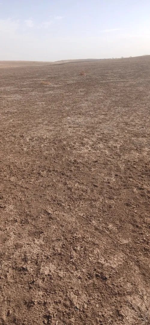 Vente Terrain Agricole Sidi Bel Abbès Sidi lahcene