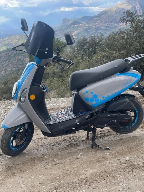 vms Estayt x 2025