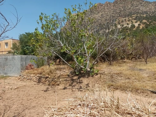 Vente Terrain Béjaïa Akbou
